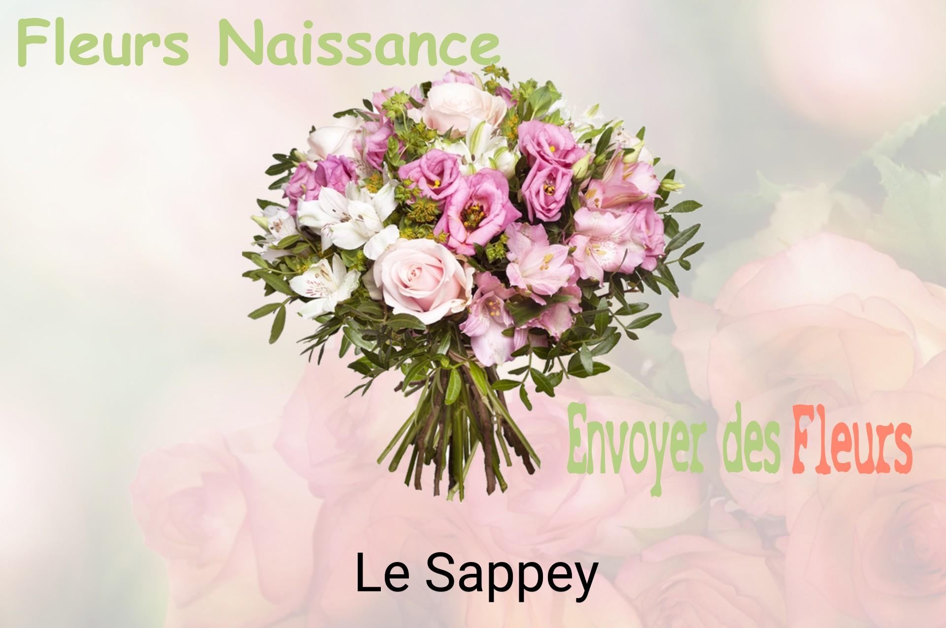Bouquet de fleurs de naissance livré à Le Sappey